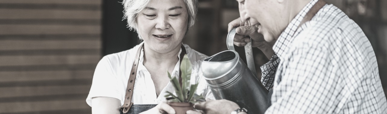 Wealth Management Firm